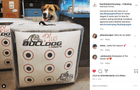 Doghouse XP Archery Target - Best Archery Targets by Bulldog Targets