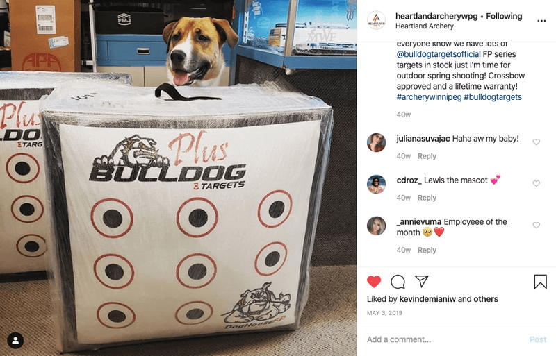 Doghouse FP Archery Target - Best Archery Targets by Bulldog Targets