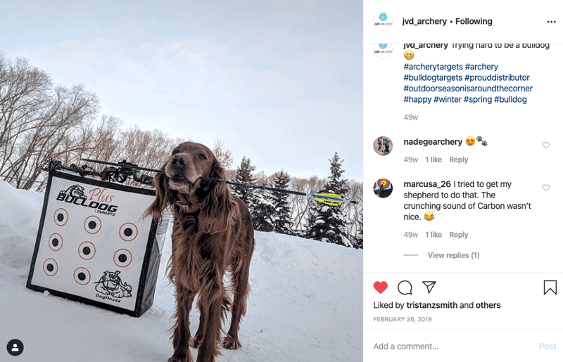 Doghouse XP Archery Target - Best Archery Targets by Bulldog Targets